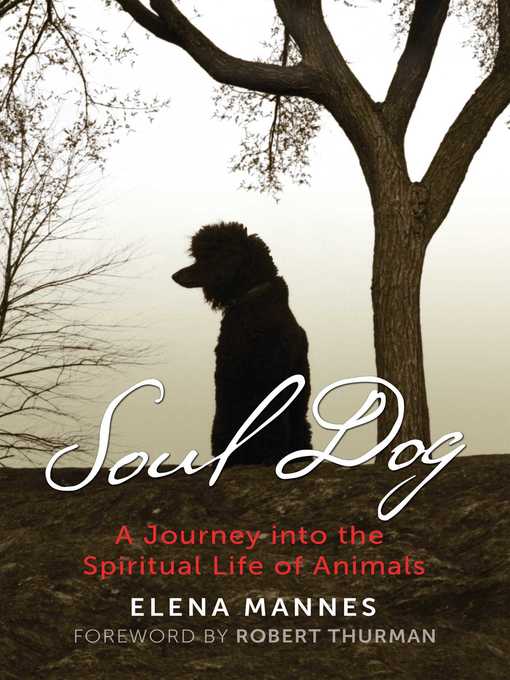 Title details for Soul Dog by Elena Mannes - Wait list